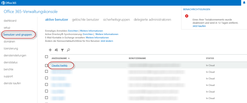 Ein Screenshot eines Microsoft-Kontos mit hervorgehobener E-Mail-Adresse, Zahlungsinformationen und Office 365-Abonnement.