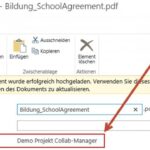 Demo Projekt Collab-Manager