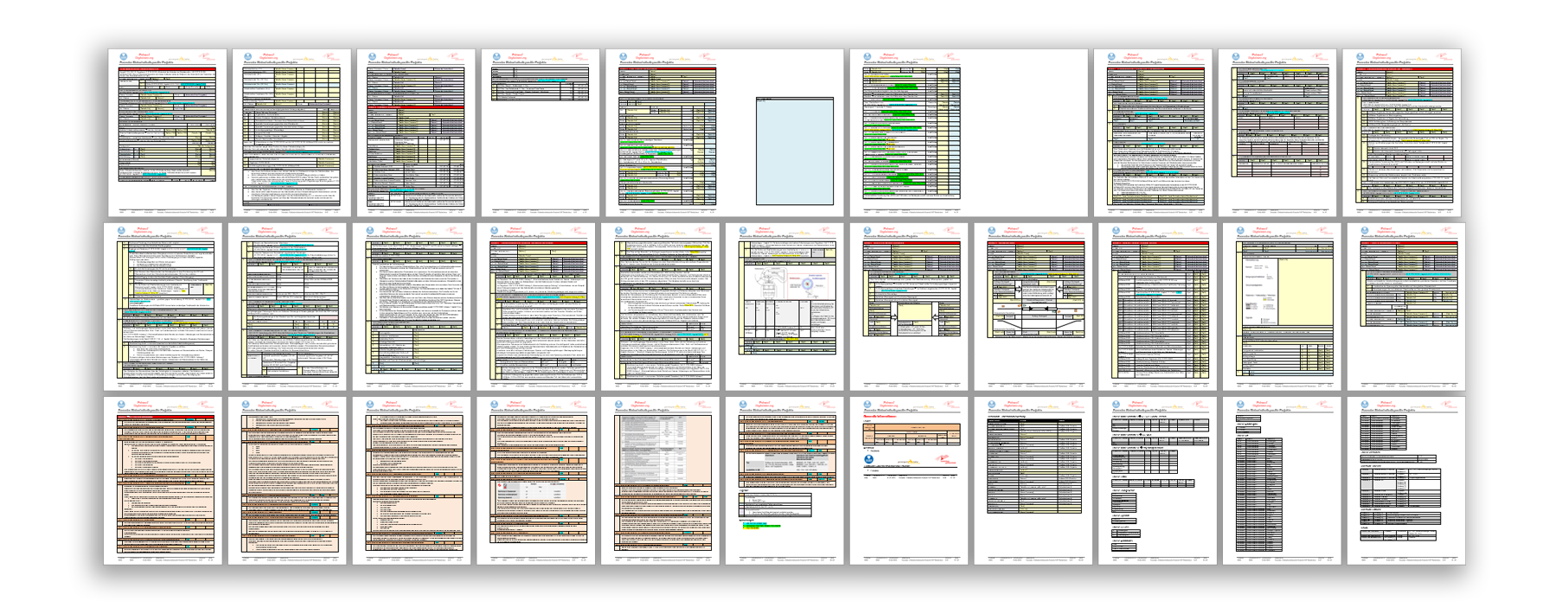 Screenshot des 30-seitigen Formulares Sicherheitsdispositiv