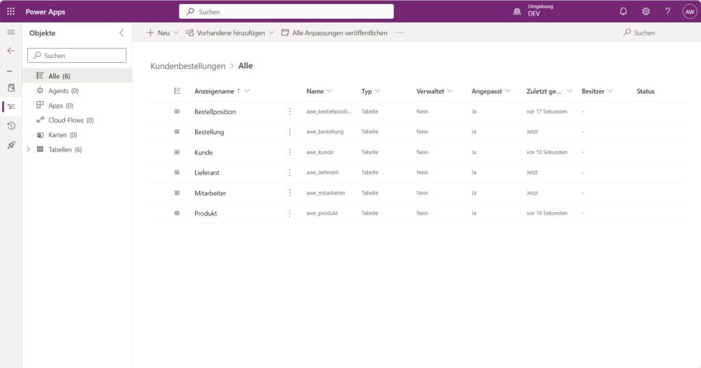 30 12 24 dataverse data workspace 5